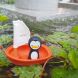 jouet de bain écologique - Voilier Pingouin