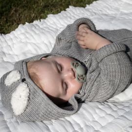 TÃ©tine BIBS Supreme en silicone - Sage sage