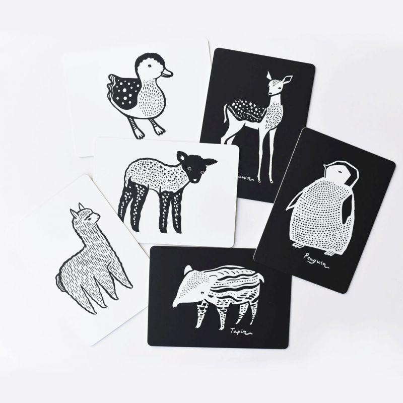 Cartes Imagier Pour Bebe Art Cards Baby Animals Le Petit Zebre