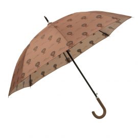 Parapluie - Lion