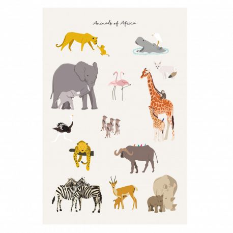 Affiche - Animals of Africa