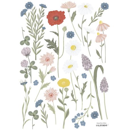 Planche de stickers A3 - Fleurs des champs: Bleut & Coquelicot