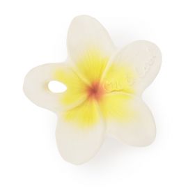 Jouet de dentition Chewy-to-Go - Hawaii the Flower