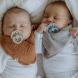 Lot de 2 TÃ©tines BIBS Boheme - Vanille & ChÃªne