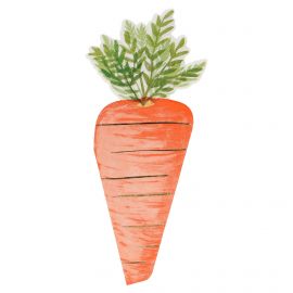 Serviettes - Carrot