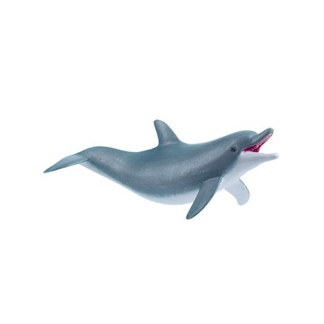 dauphin joueur dauphin joueur