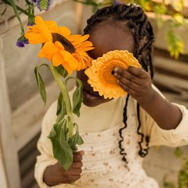 Jouet en caoutchouc naturel - Sun the Sunflower