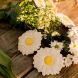 Jouet en caoutchouc naturel - Margarita the Daisy