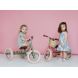 Trybike 2-en-1 en vintage rose - tricycle 
