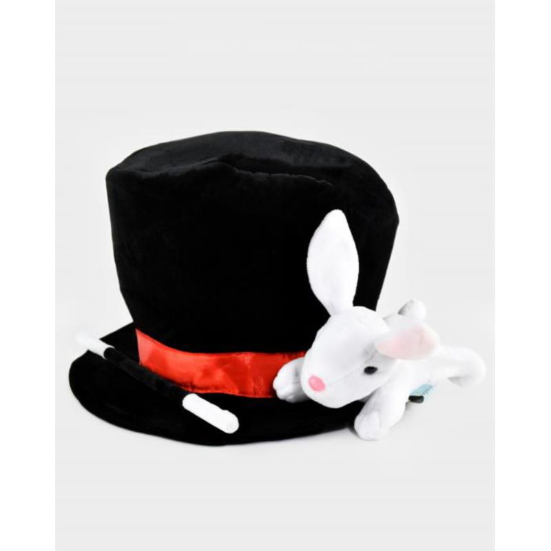 Chapeau de magicien avec lapin et baguette