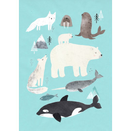 carte postale - Artic animals
