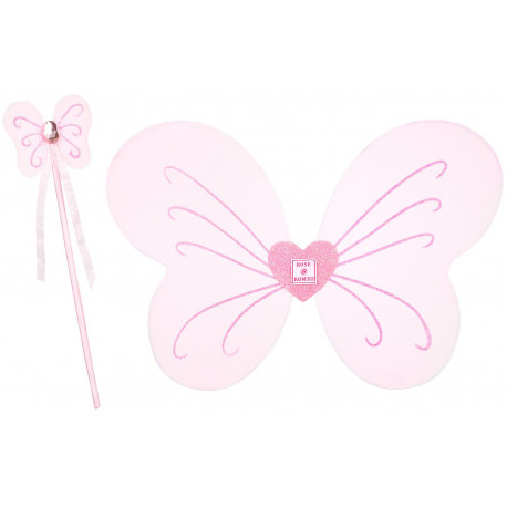 ailes Caroli ailes Caroli