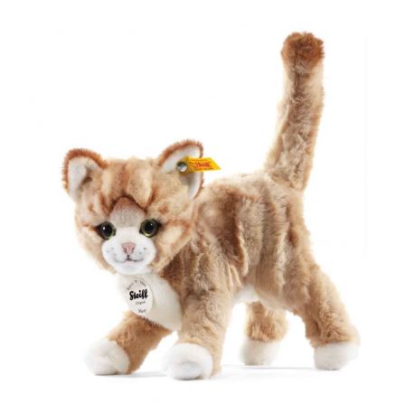 Chat Mizzy Chat Mizzy