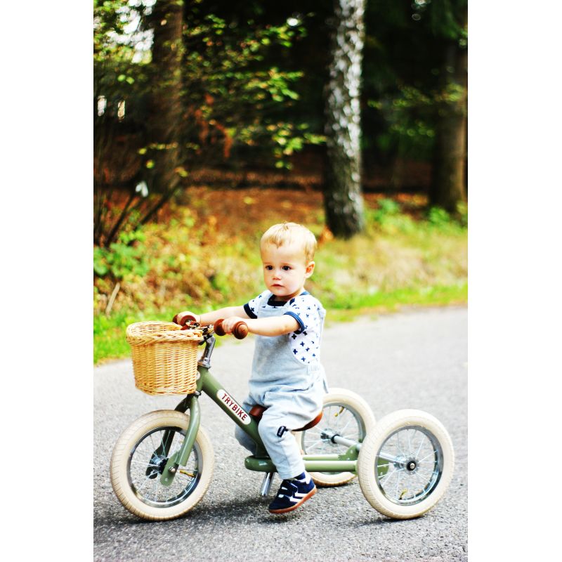 Trybike - Tricycle/draisienne 2-en-1 Vert Rétro - Le choix parfait pour  votre enfant - Le Petit Zèbre